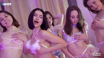 Rasakan Sensasi Pertemuan Kelompok Dengan Nigonika Di Flamingo Orgy4