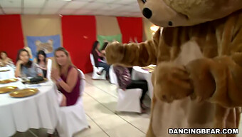 Passons Un Bon Moment Avec Le Légendaire Dancing Bear ! (Db9822)