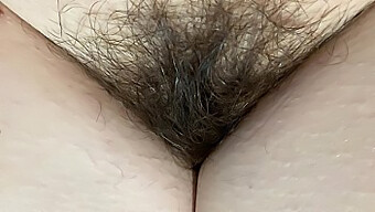 Video Hd De Mi Arbusto Peludo Y Pov