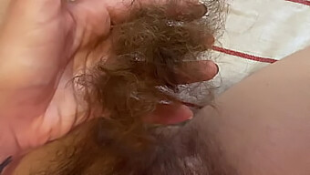 Close-Up Of Trimming My Long Pussy Hair At Home