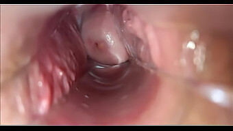 Intense Pleasure: Vagina And Orgasm In Close Up