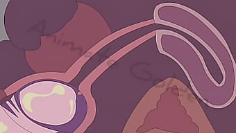 Hidden Pleasure: Animated Exploration Of Internal Orgasm