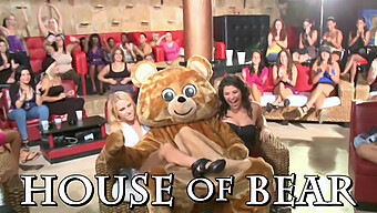 Wild Cfnm Party With Dancing Bear And Group Sex With Horny Black Sluts