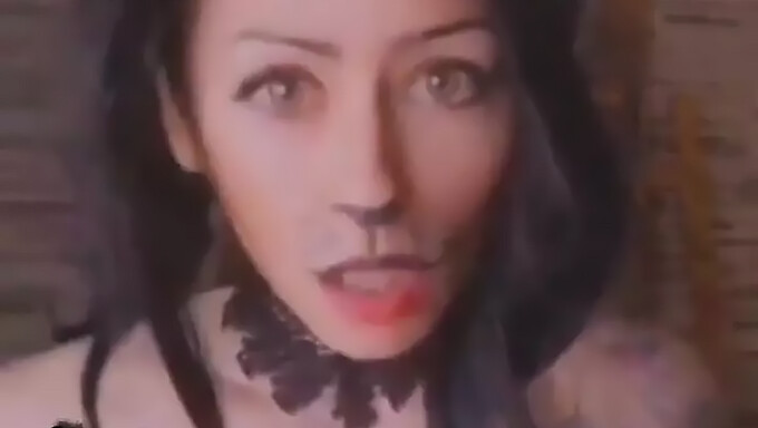 Penggoda Bertato Dalam Kostum Kucing Halloween